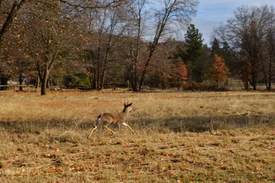 DSC_5847 (Large).JPG